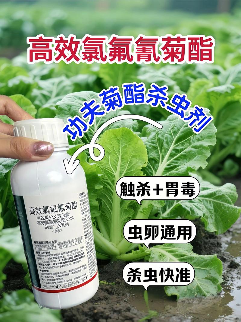 安徽代生中心:农药对供卵代生妈妈的危害